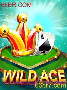 Tudo sobre WildAce: Explore o Empolgante Jogo do Momento